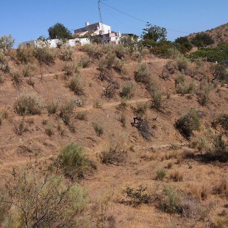 Finca La Pimienta Pizarra Dış mekan fotoğraf